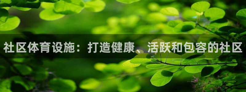 意昂体育3平台是正规平台吗安全吗：社区体育设施：打造